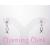 Sterling Silver Awareness Ribbon Earrings