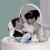 Photo Heart Wedding Cake Topper