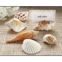 Seashell Placecard Holders - Set of 6
