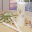 Beach Wedding Collection Unity Candle Set Ivory