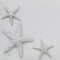 Beach Wedding Collection Guest Book and Pen Set White